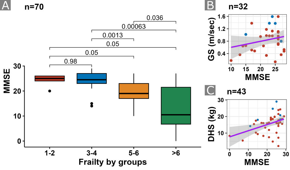 Correlation between MMSE total score and frailty measures. A) Clinical Frailty Scale by groups (K–W p < 0.001). B) Gait speed (GS) (R = 0.24, p = 0.18). C) Grip