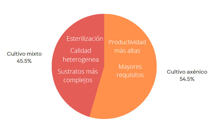 Organismos usados para producción de PHA.