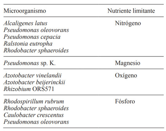 Ruta metabólica para la síntesis y degradación de P3HB a partir de carbohidratos, tomada de (2).