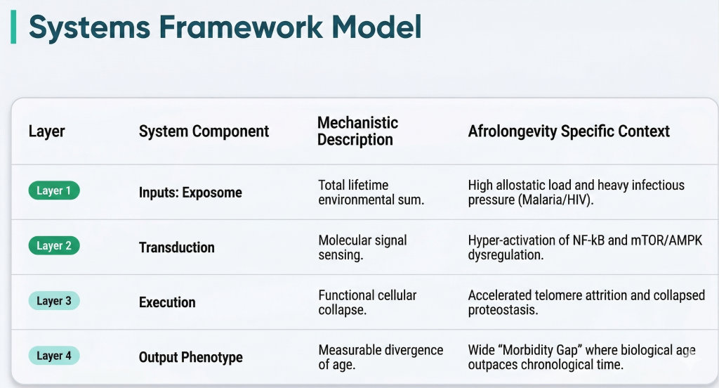 A Systems Framework Model for Afrolongevity: From Exposome to Phenotype.