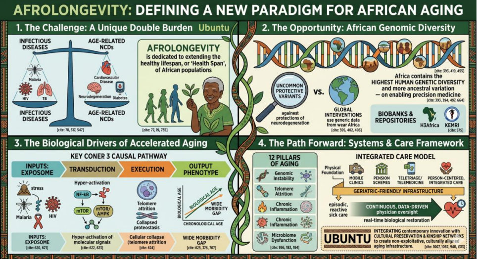 Afrolongevity: Defining a New Paradigm for African Aging. Figure generated with AI (Gemini).
