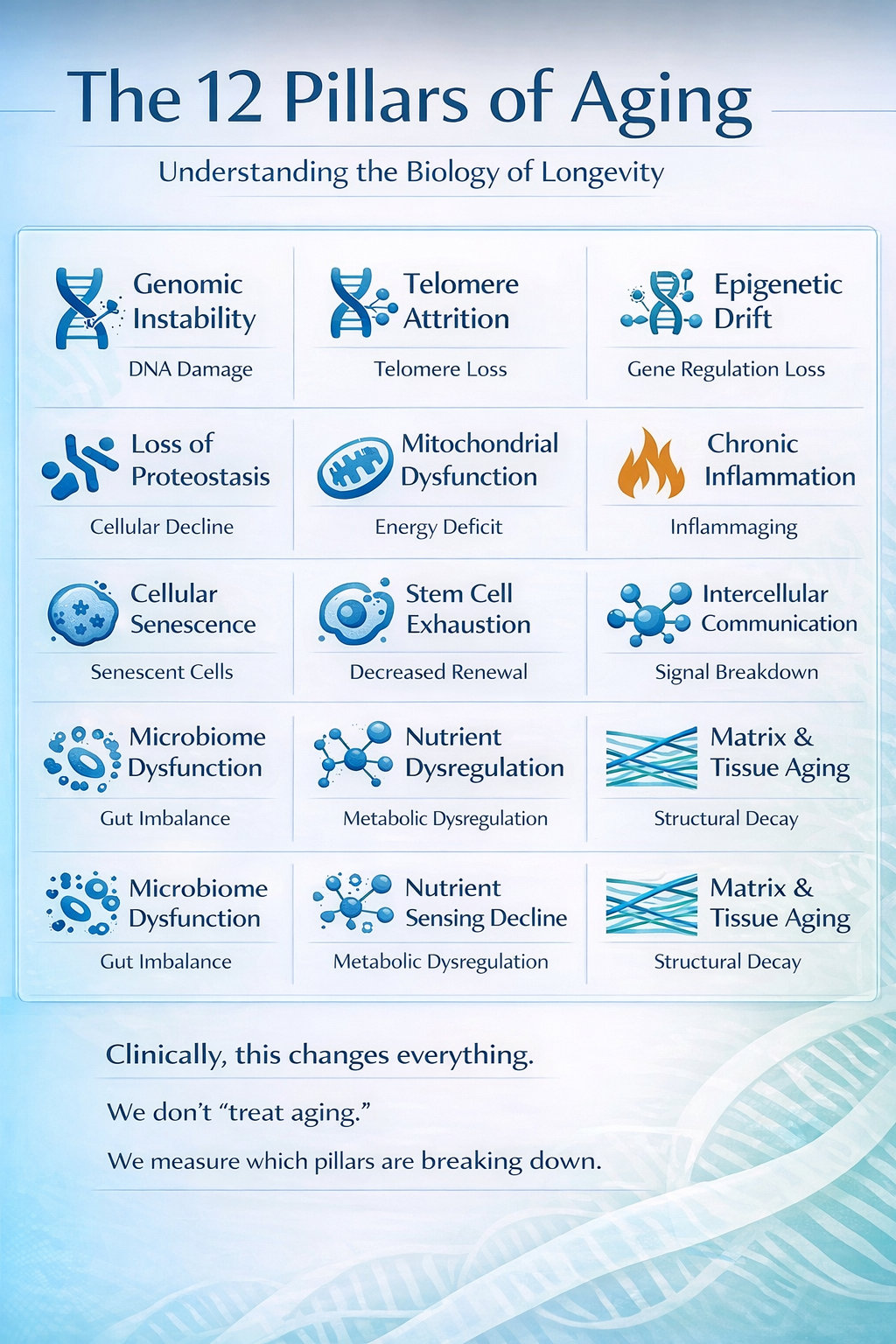 Managing Longevity: The Intersection of Genetic Constraints, Modifiable Health Factors, and Biological Aging Pathways. Image generated with AI (Gemini)