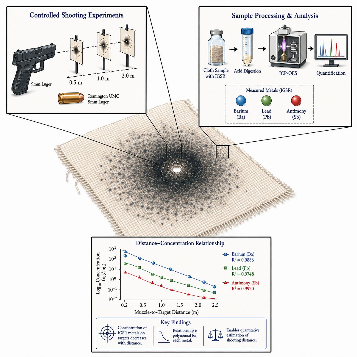 Graphical abstract